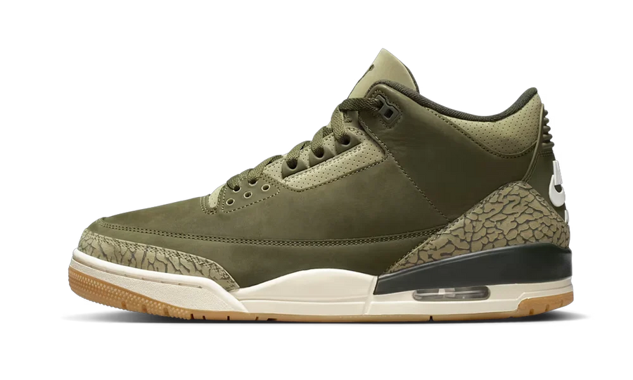 Air Jordan 3 Family Affair - image 1