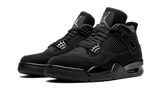 Air Jordan 4 Black Cat - image 2