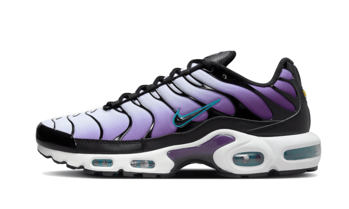 Nike Air Max Plus Reverse Grape - image 1