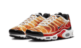 Nike Air Max Plus Light Photography - image 2