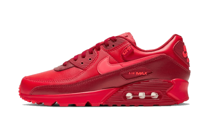 Nike Air Max 90 Chi City Special - image 1