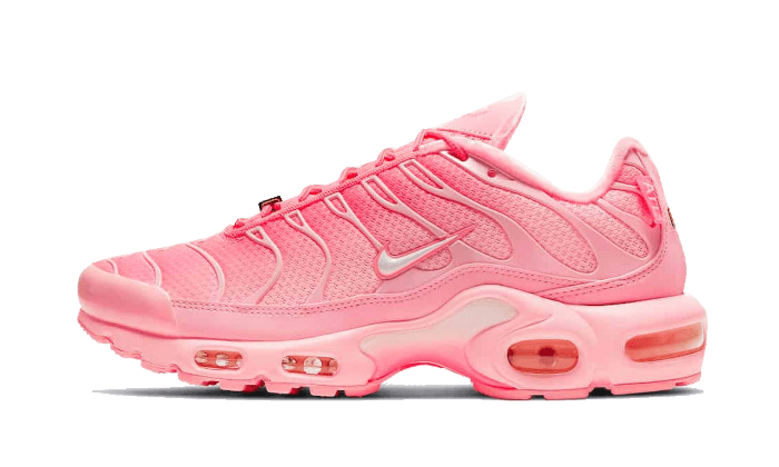 Nike Air Max Plus Atlanta - image 1