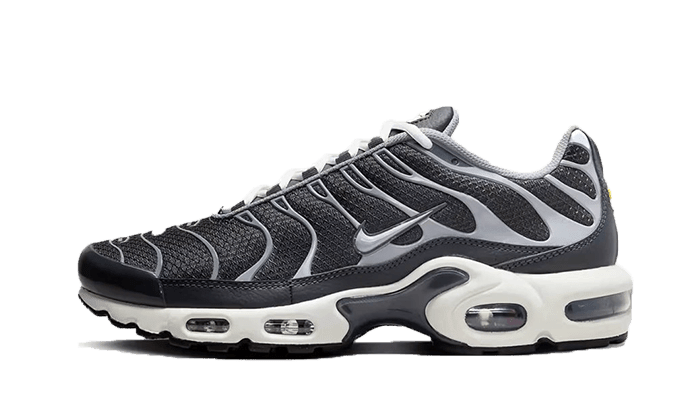 Nike Air Max Plus SE Greyscale Cool Grey - image 1