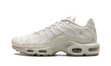 Nike Air Max Plus Tn A-Cold-Wall Platinum Tint - image 1