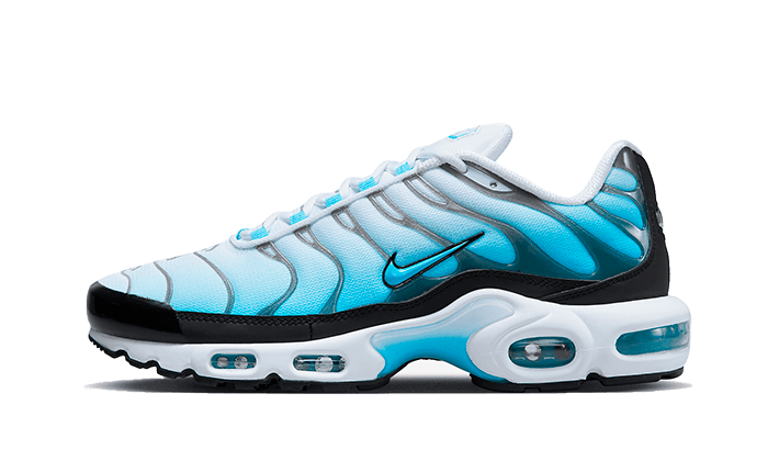 Nike Air Max Plus Tn Baltic Blue - image 1