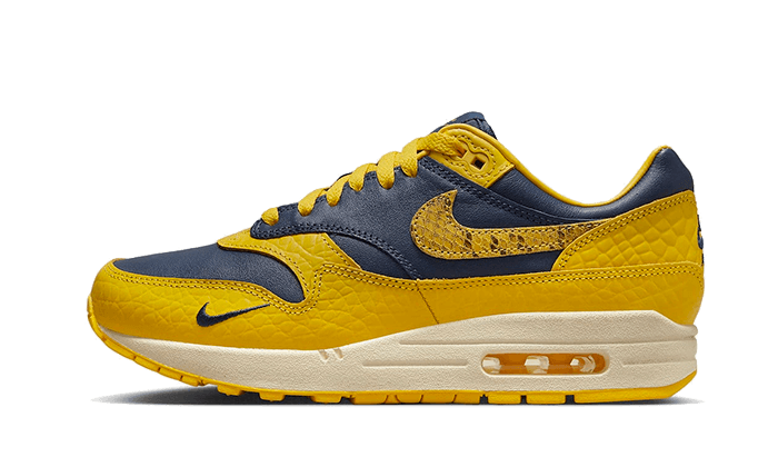 Nike Air Max 1 CO.JP Michigan - image 1