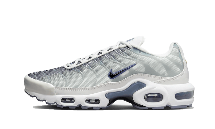 Nike Air Max Plus Sail Grey - image 1