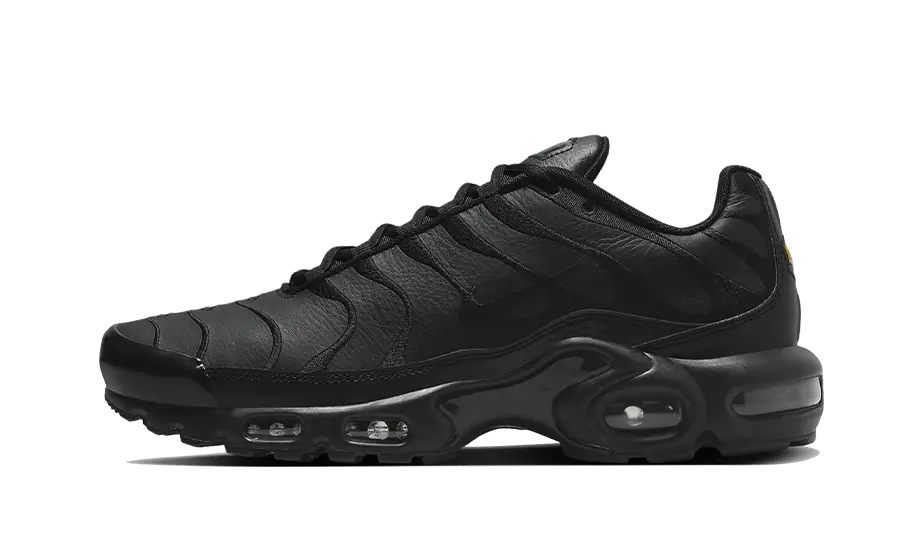 Nike Air Max Plus Triple Black Leather - image 1