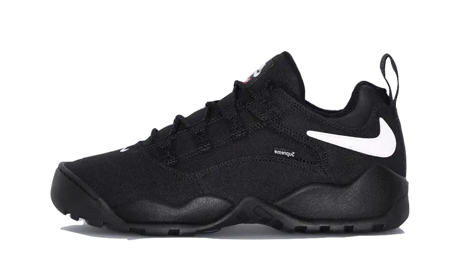 Nike SB Darwin Low Supreme Black - image 1