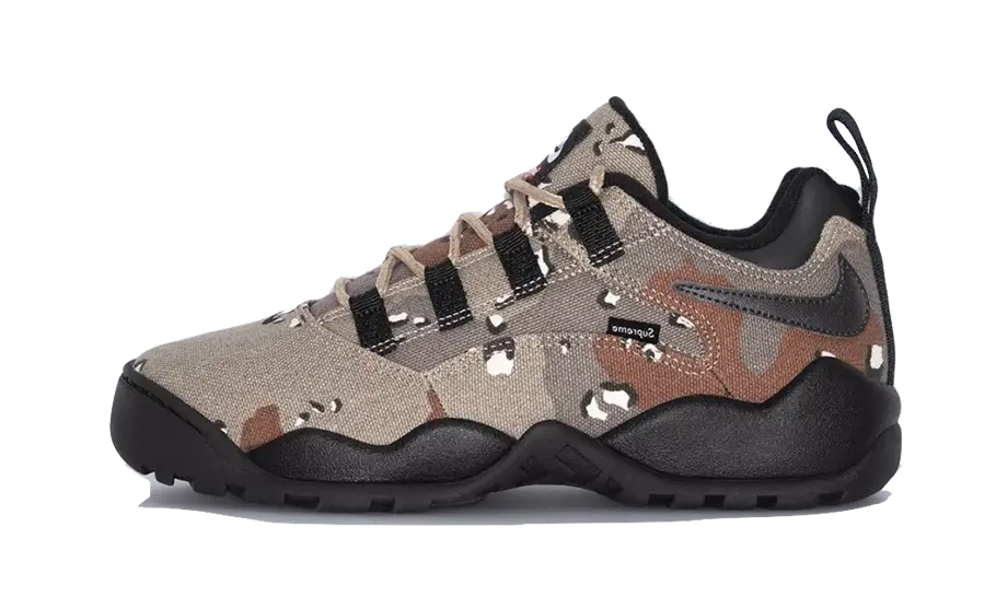 Nike SB Darwin Low Supreme Desert Camo - image 1
