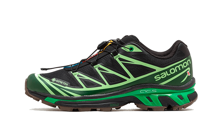 Salomon Advanced XT-6 Gore-Tex Eden Green Ash - image 1